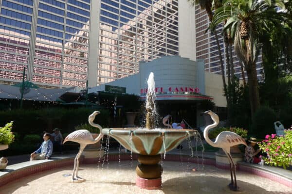 Flamingo Wildlife Habitat