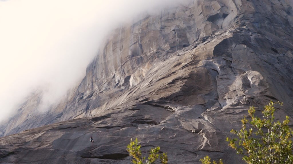 El Capitan Meadow